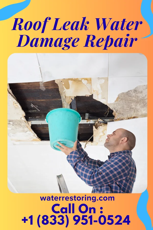 Roof Leak Water Damage Repair in Steele City, NE